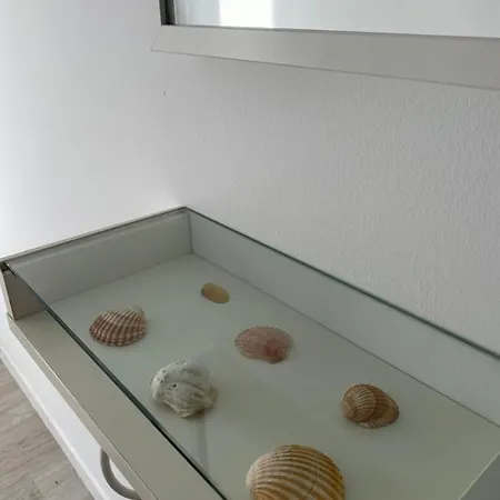 A Casa De Paco. O Barqueiro.