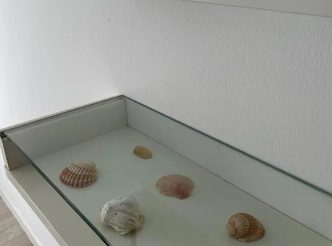 A Casa De Paco. O Barqueiro.